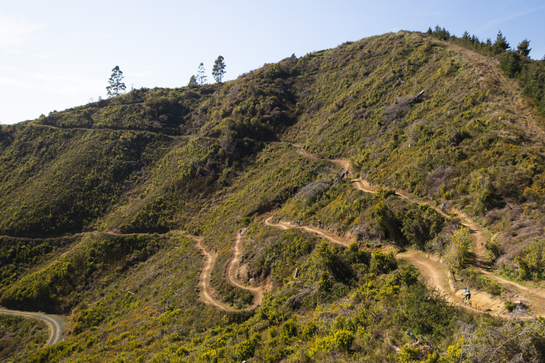 Codgers best sale mtb park