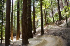 The new Dodzy Skills Park in memory of James Dodds in Whakarewarewa Forest, Rotorua, New Zealand.