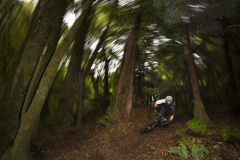 Justin Leov rides a new trail in Whakarewarewa Forest, Rotorua, New Zealand.