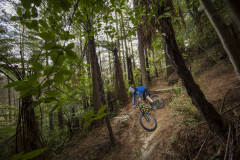 Lewis Hart at Oropi Mountain Bike Park near Tauranga, Bay of Plenty, New Zealand.