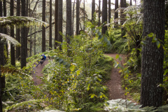 Lewis Hart at Oropi Mountain Bike Park near Tauranga, Bay of Plenty, New Zealand.