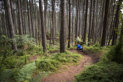 Lewis Hart at Oropi Mountain Bike Park near Tauranga, Bay of Plenty, New Zealand.