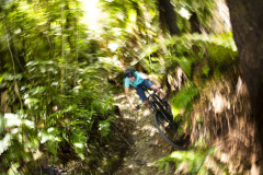 Mountain biking in Whakarewarewa Forest with athlete Ruby Ryan, Rotorua, Bay of Plenty, New Zealand.