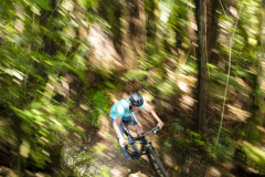 Mountain biking in Whakarewarewa Forest with athlete Ruby Ryan, Rotorua, Bay of Plenty, New Zealand.
