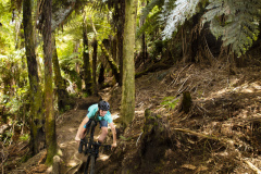 Mountain biking in Whakarewarewa Forest with athlete Ruby Ryan, Rotorua, Bay of Plenty, New Zealand.
