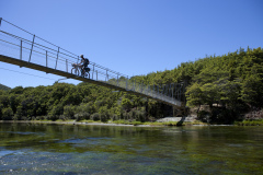The swing-bridge over the South Mavora Lake, Southland, New Zealand.