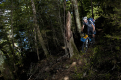 Dallas Hewett rides through forest near the Mavora Lakes, Southland, New Zealand