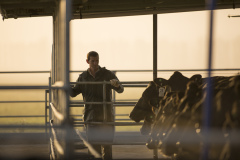 Morning milking at the Wilson dairy farm on the Taieri Plains, Taieri, Dunedin, Otago, New Zealand.